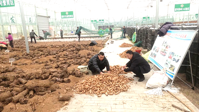 1717381720944207.png 中藥投2.png